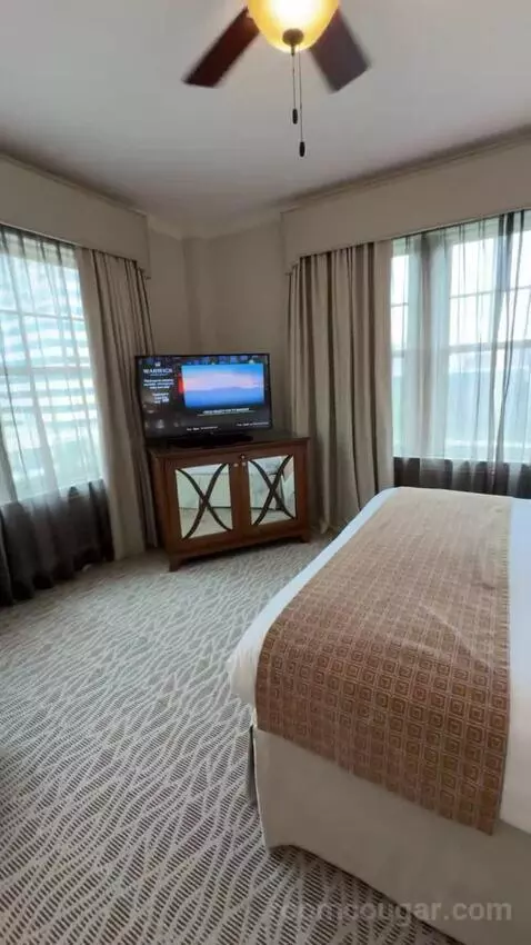 Deluxe Suite bed picture #4