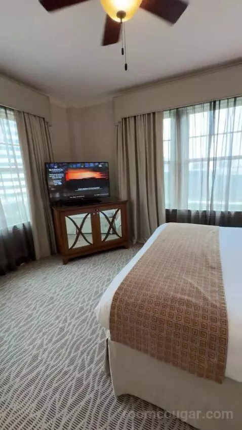 Deluxe Suite bed picture #5