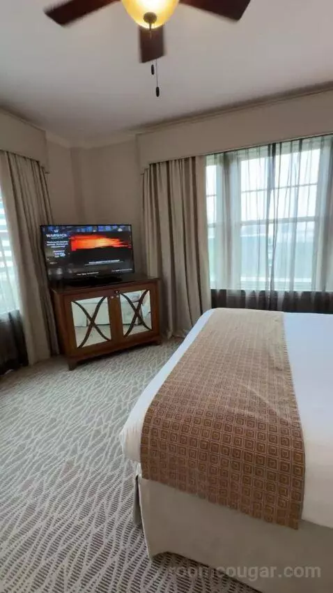 Deluxe Suite bed picture #6