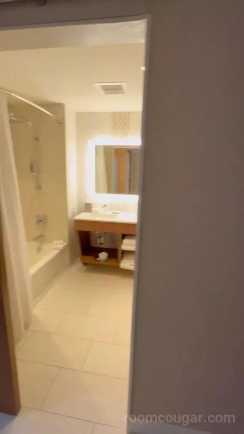 2 Queen Beds, Traditional Guest Room bathroom picture #1