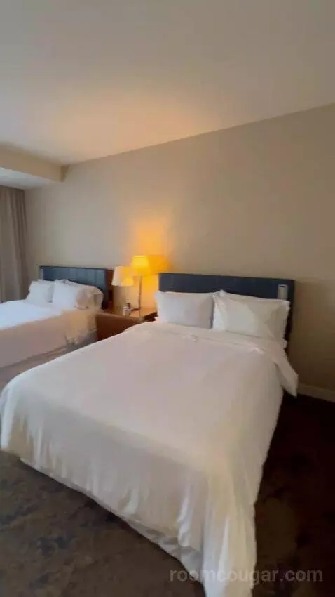 2 Queen Beds, Traditional Guest Room bed picture #5