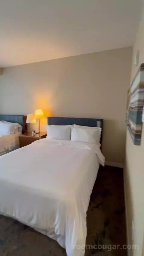 2 Queen Beds, Traditional Guest Room bed picture #6