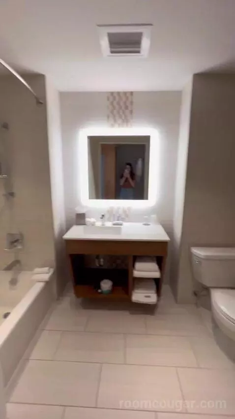 2 Queen Beds, Traditional Guest Room bathroom picture #3