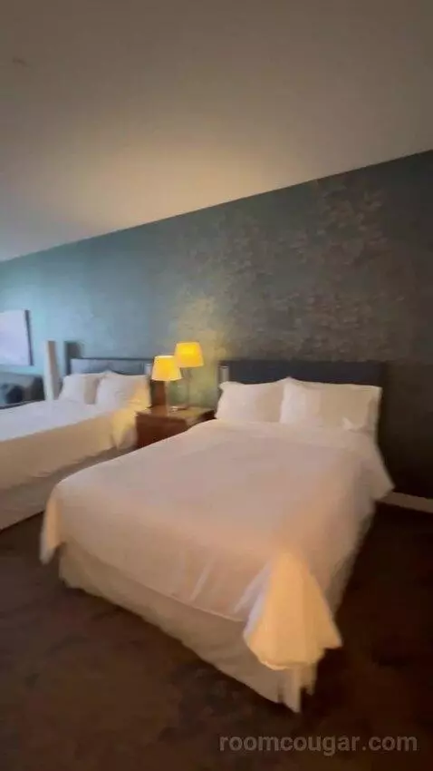 Junior Suite, 1 Bedroom Suite, 2 Queen bed picture #1