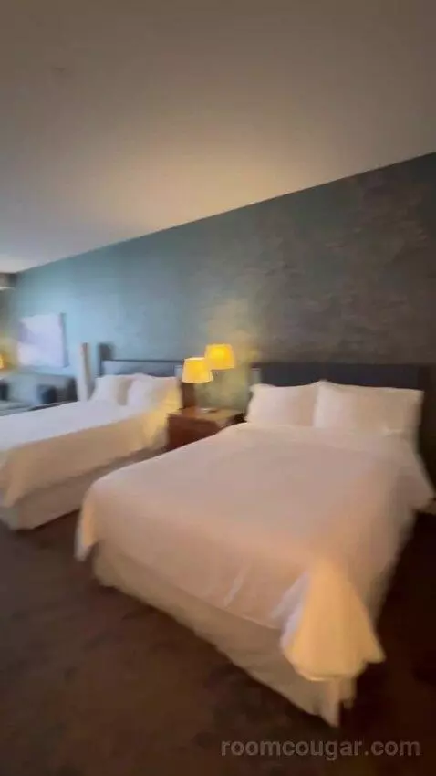 Junior Suite, 1 Bedroom Suite, 2 Queen bed picture #3
