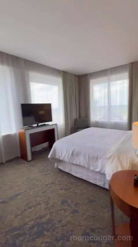 Trinity Suite picture #16