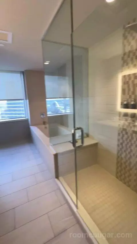 Trinity Suite bathroom picture #5