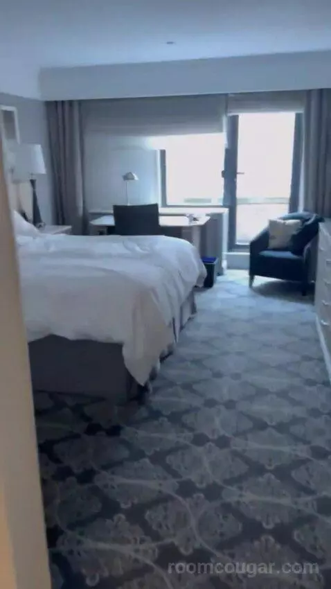 Superior King Room picture #11