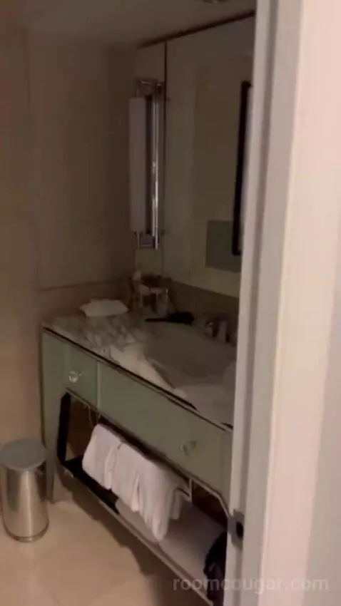Superior King Room bathroom picture #6