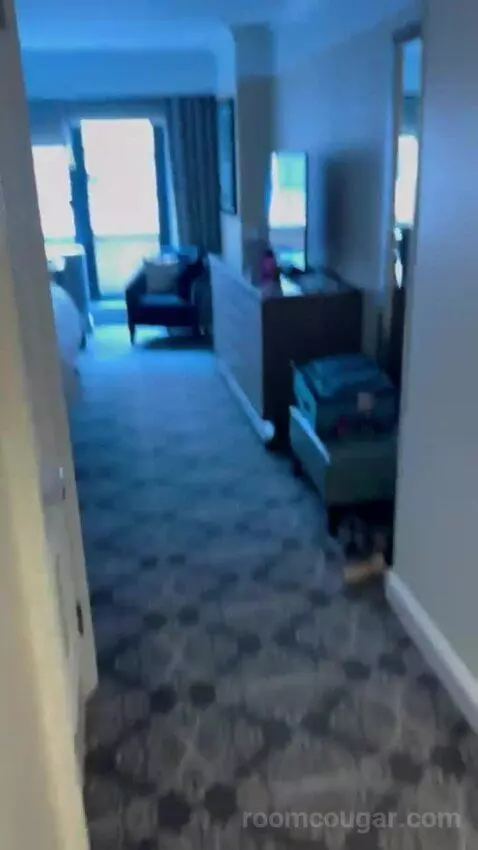 Superior King Room picture #9