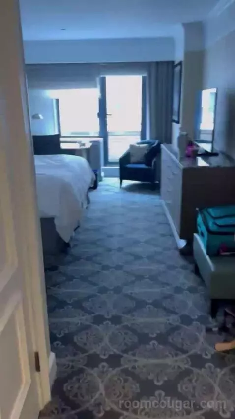 Superior King Room bed picture #2