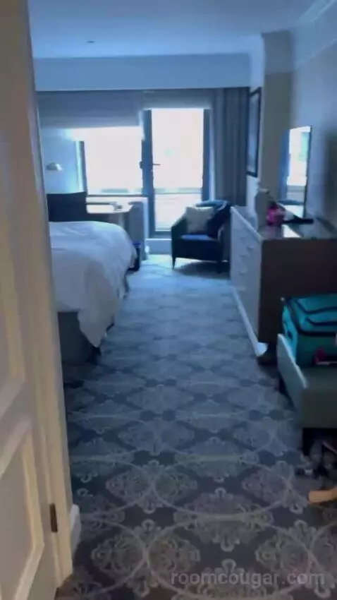 Superior King Room picture #10
