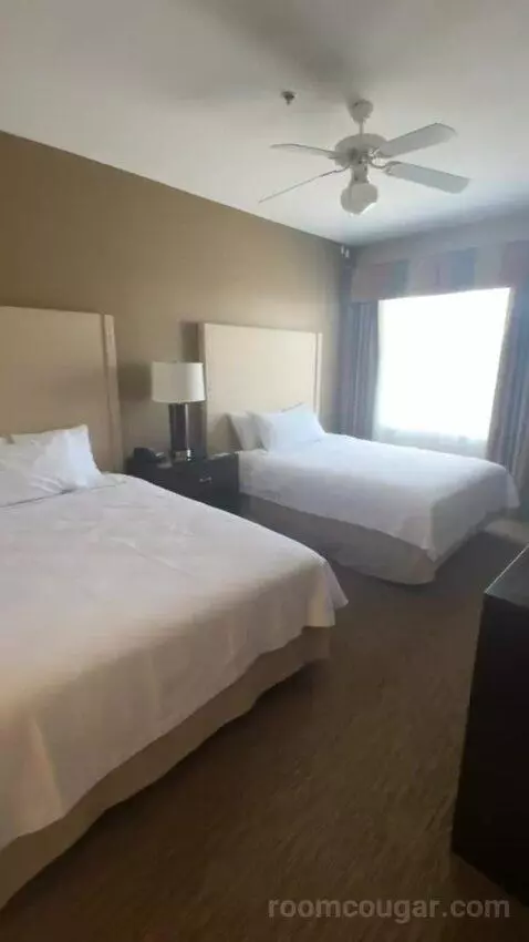 2 Queen Beds 1 Bedroom Suite bed picture #3