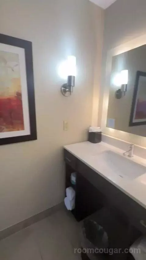 2 Queen Beds 1 Bedroom Suite bathroom picture #1
