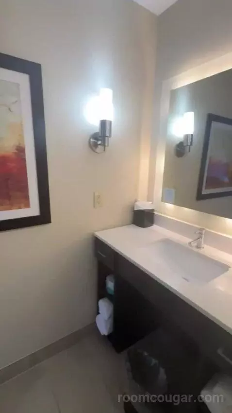 2 Queen Beds 1 Bedroom Suite bathroom picture #2