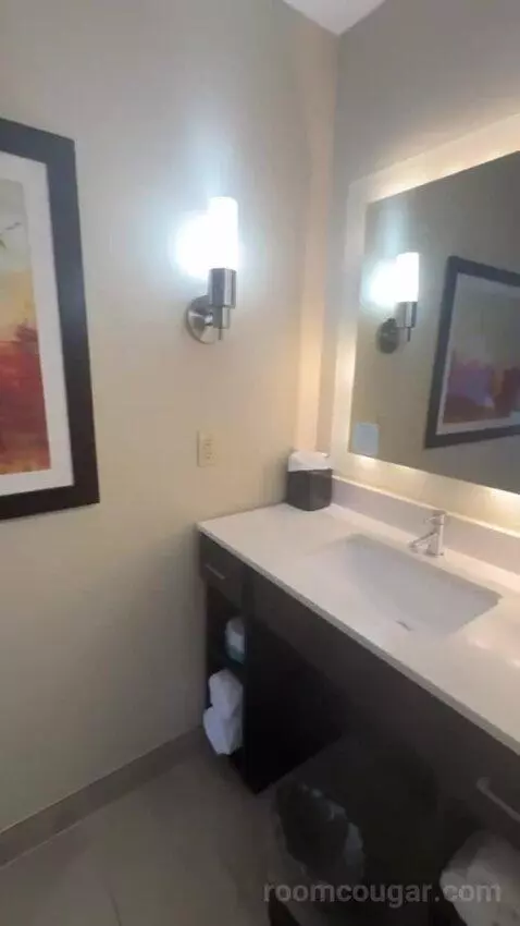 2 Queen Beds 1 Bedroom Suite bathroom picture #3