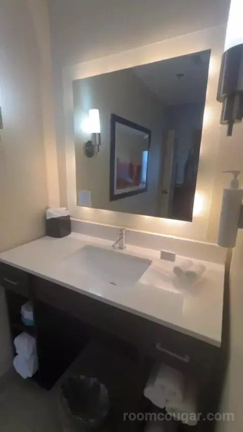 2 Queen Beds 1 Bedroom Suite bathroom picture #4