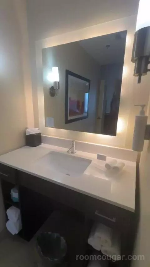 2 Queen Beds 1 Bedroom Suite bathroom picture #5