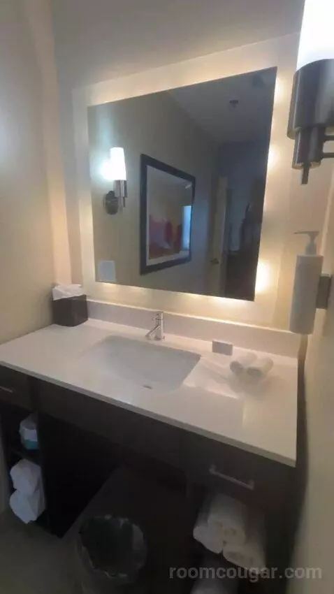 2 Queen Beds 1 Bedroom Suite bathroom picture #6