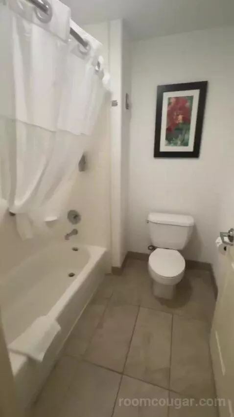 2 Queen Beds 1 Bedroom Suite bathroom picture #7
