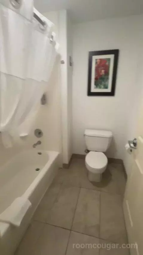 2 Queen Beds 1 Bedroom Suite bathroom picture #8