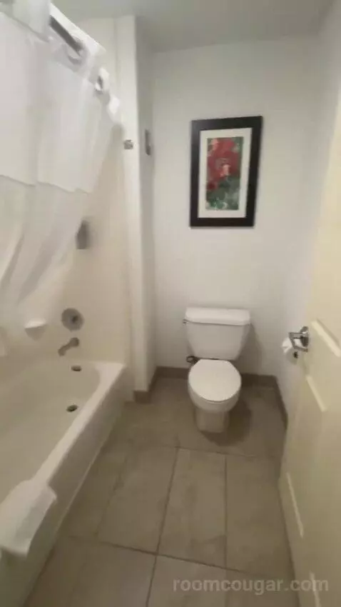 2 Queen Beds 1 Bedroom Suite bathroom picture #9