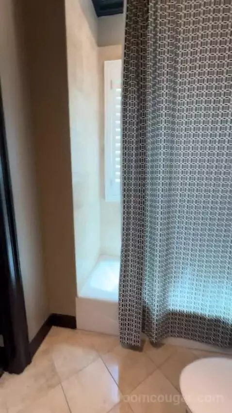 Rockstar Suite bathroom picture #2