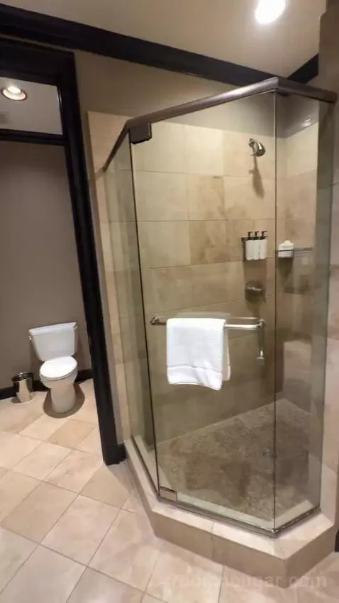 Rockstar Suite bathroom picture #9