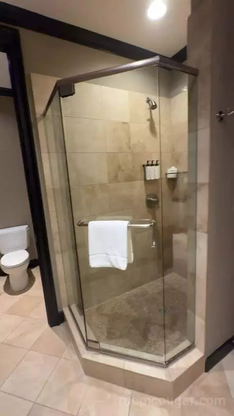 Rockstar Suite bathroom picture #10