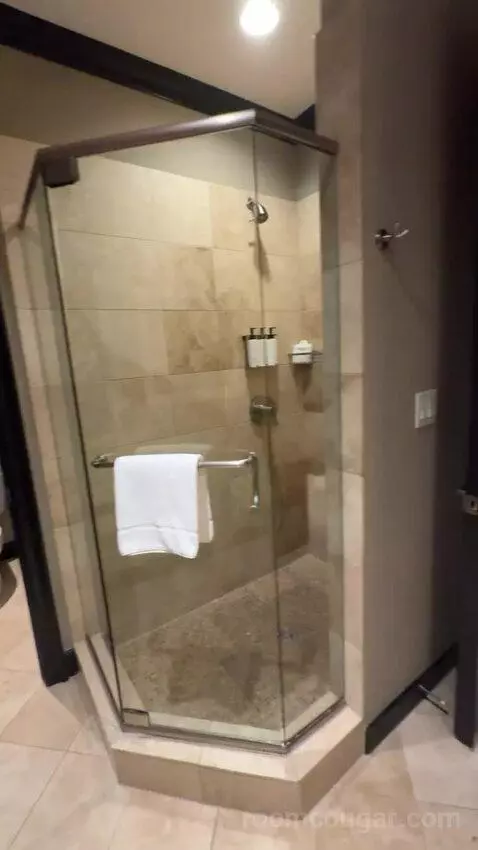 Rockstar Suite bathroom picture #11