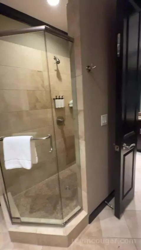 Rockstar Suite bathroom picture #12