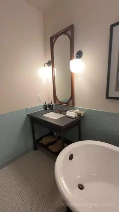 Junior Suite bathroom picture #4