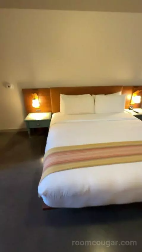 Deluxe King Room picture #17
