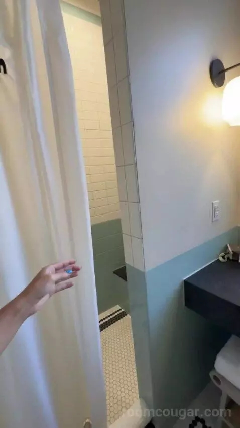 Deluxe King Room bathroom picture #3