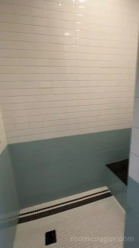 Deluxe King Room bathroom picture #5