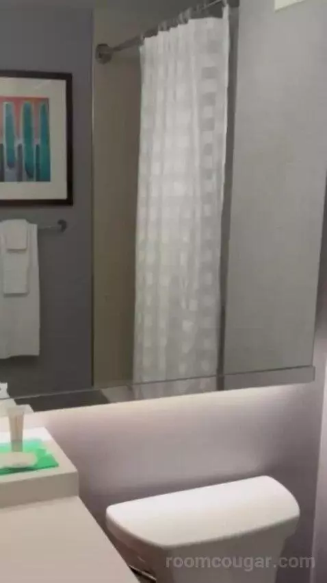 Queen Room with Two Queen Beds and Sofa Bed bathroom picture #8