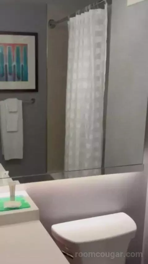 Queen Room with Two Queen Beds and Sofa Bed bathroom picture #9