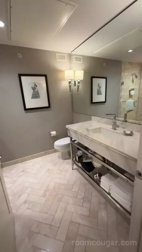 Deluxe Parlor King bathroom picture #2