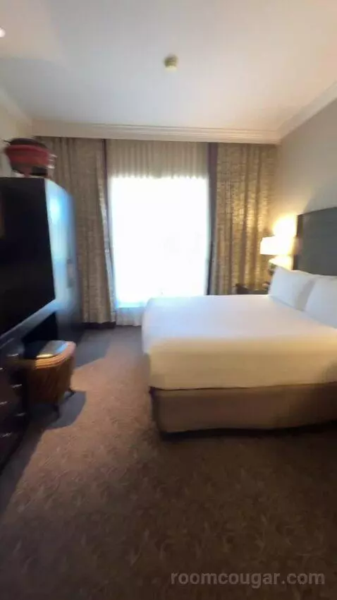 Deluxe Parlor King bed picture #5