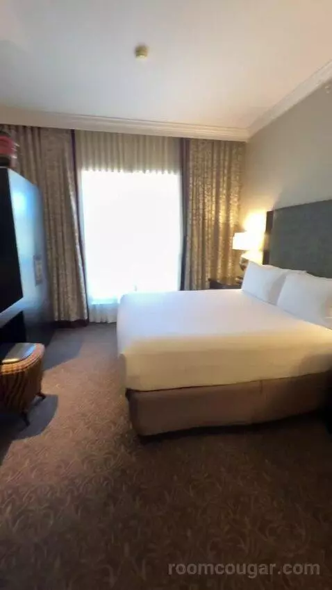 Deluxe Parlor King bed picture #6