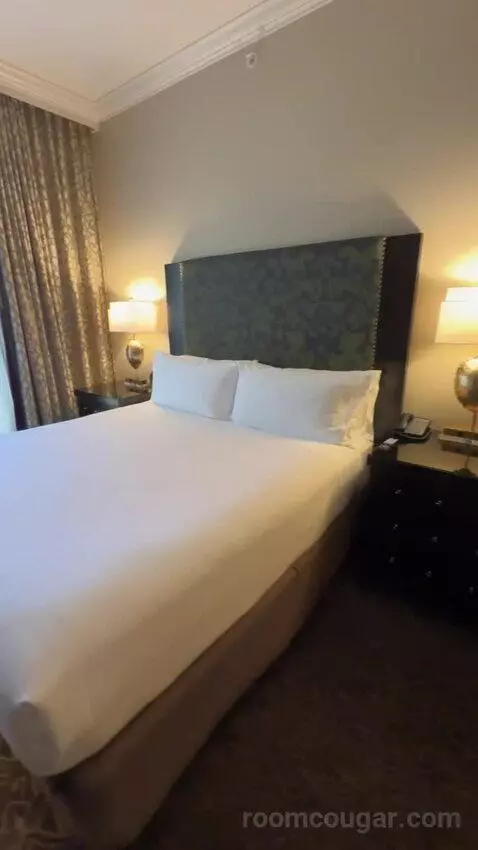 Deluxe Parlor King bed picture #7