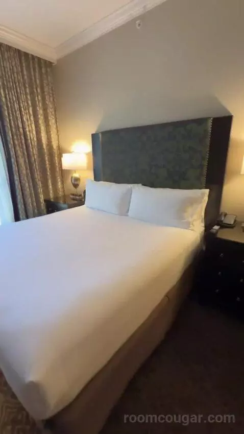 Deluxe Parlor King bed picture #8