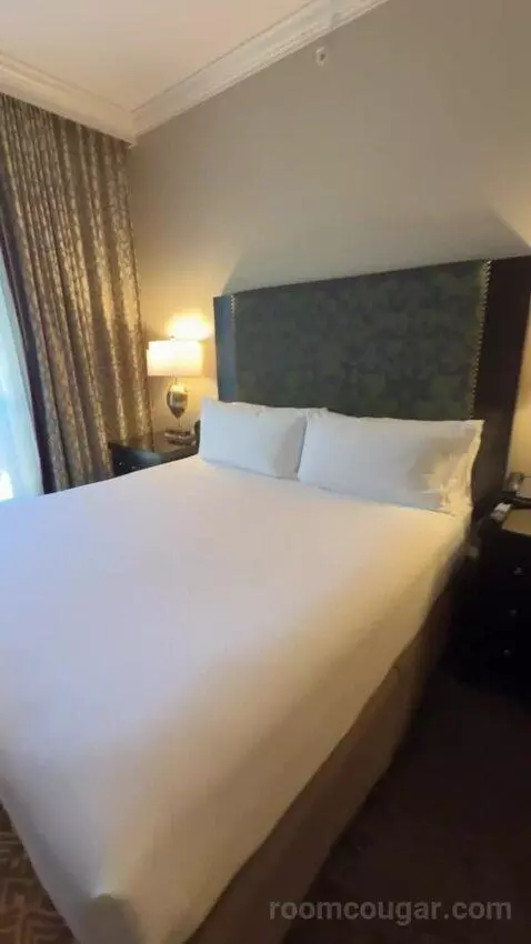 Deluxe Parlor King bed picture #9