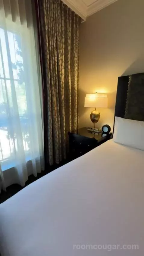 Deluxe Parlor King bed picture #10