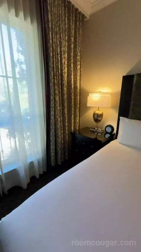 Deluxe Parlor King bed picture #11