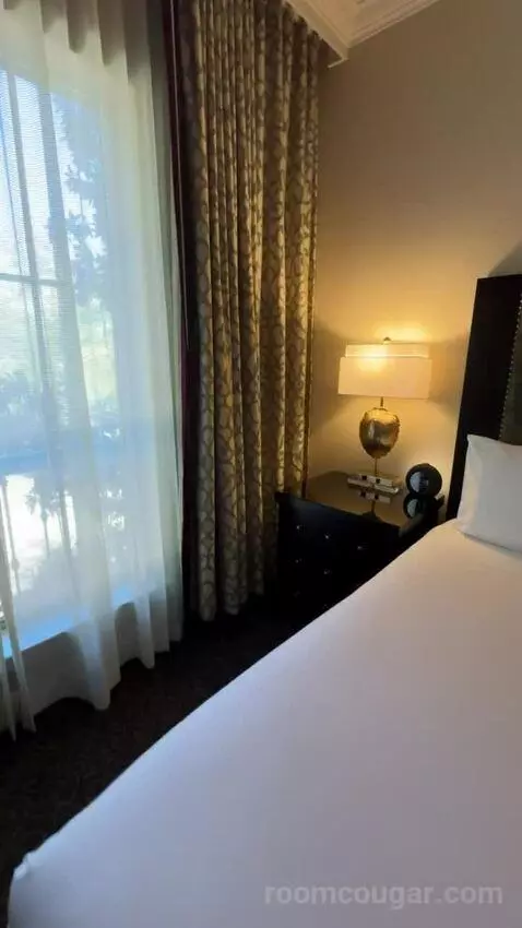 Deluxe Parlor King bed picture #12