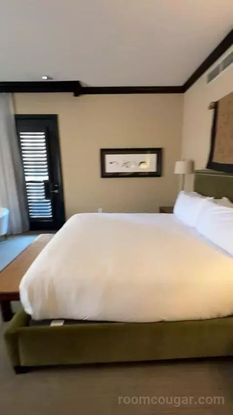 Zen Suite bed picture #2