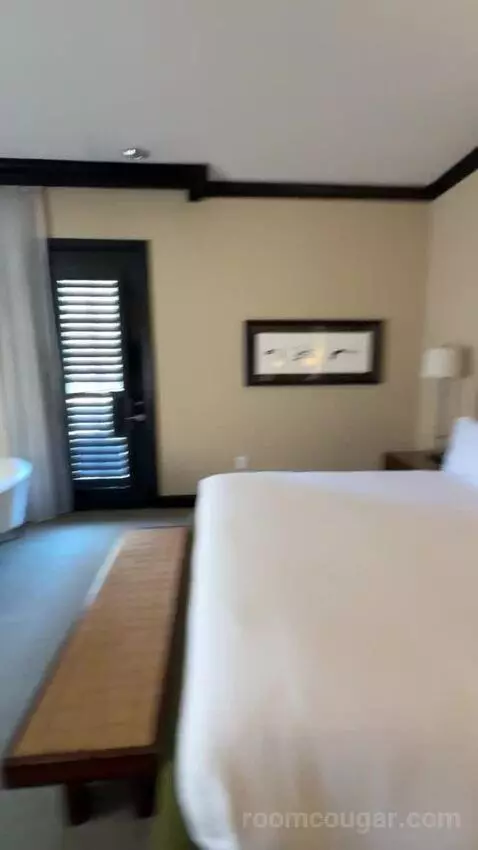 Zen Suite bed picture #8