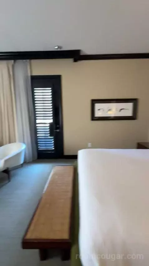 Zen Suite bed picture #9