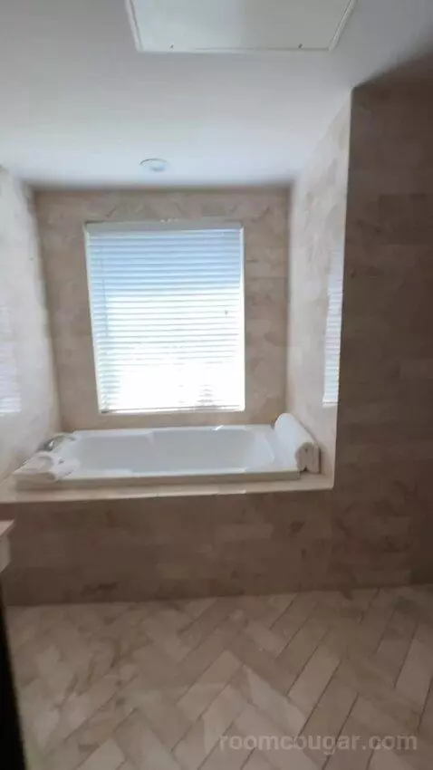 Zen Suite bathroom picture #6
